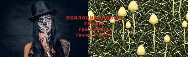 прущие крисы Медногорск