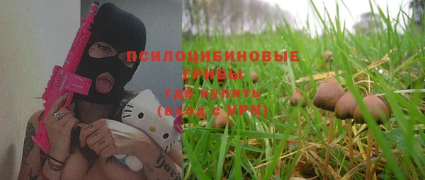 прущие крисы Медногорск