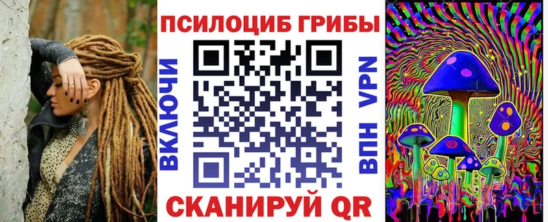 закладка  Тамбов  Псилоцибиновые грибы Cubensis 